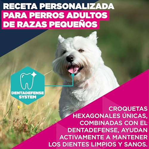 Detalle de Eukanuba Alimento seco para perros pequeños con pollo fresco – 3 kg