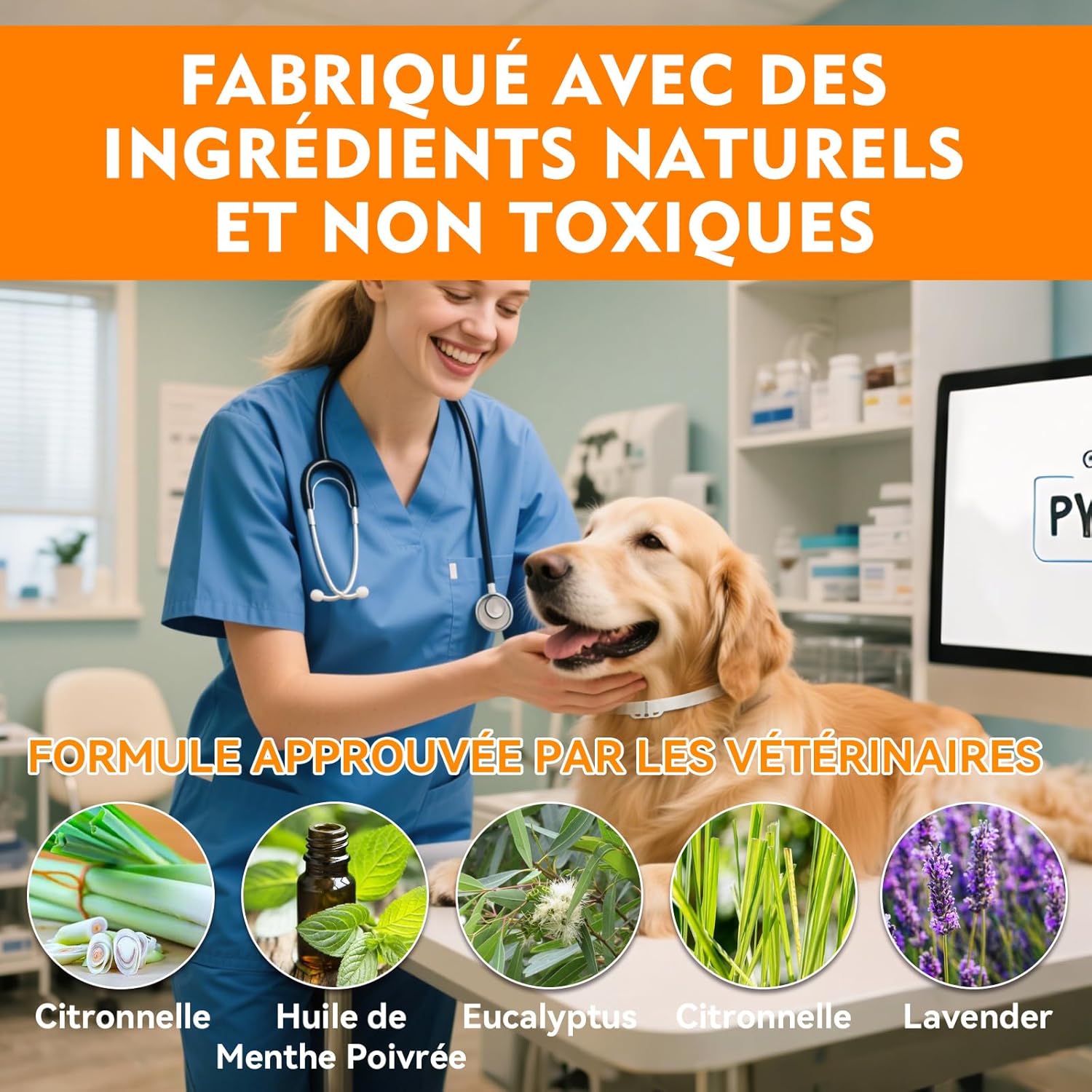 Detalle de Aarovibe Collier Anti Puces pour Chien – Réglable 65 cm, Imperméable et Efficace 12 Mois (2 Pack)