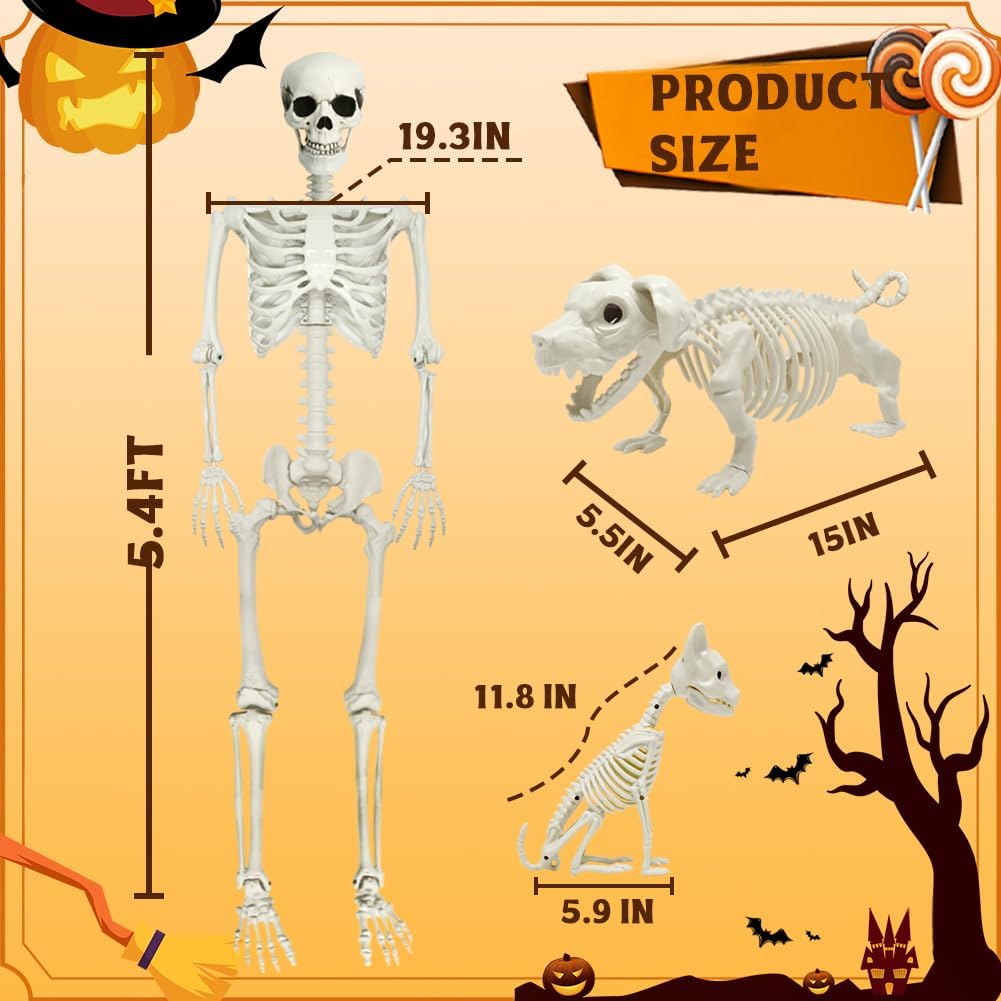 Detalle de CAMIRUS LR-WSJ-GJ 5.4 ft Posable Halloween Skeleton with Dog and Cat