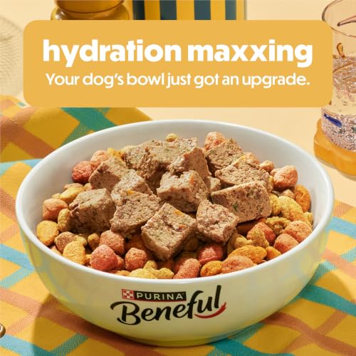 Thumbnail 2 de Purina Beneful Kitchen Creations Wet Dog Food Variety Pack (30 x 3 oz Cans)