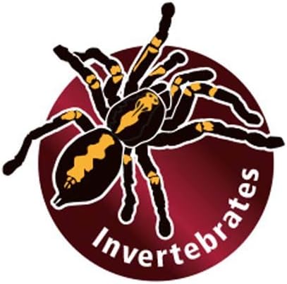 Thumbnail 6 de HOBBY THERMOMETRE + HYGROMETRE Blister