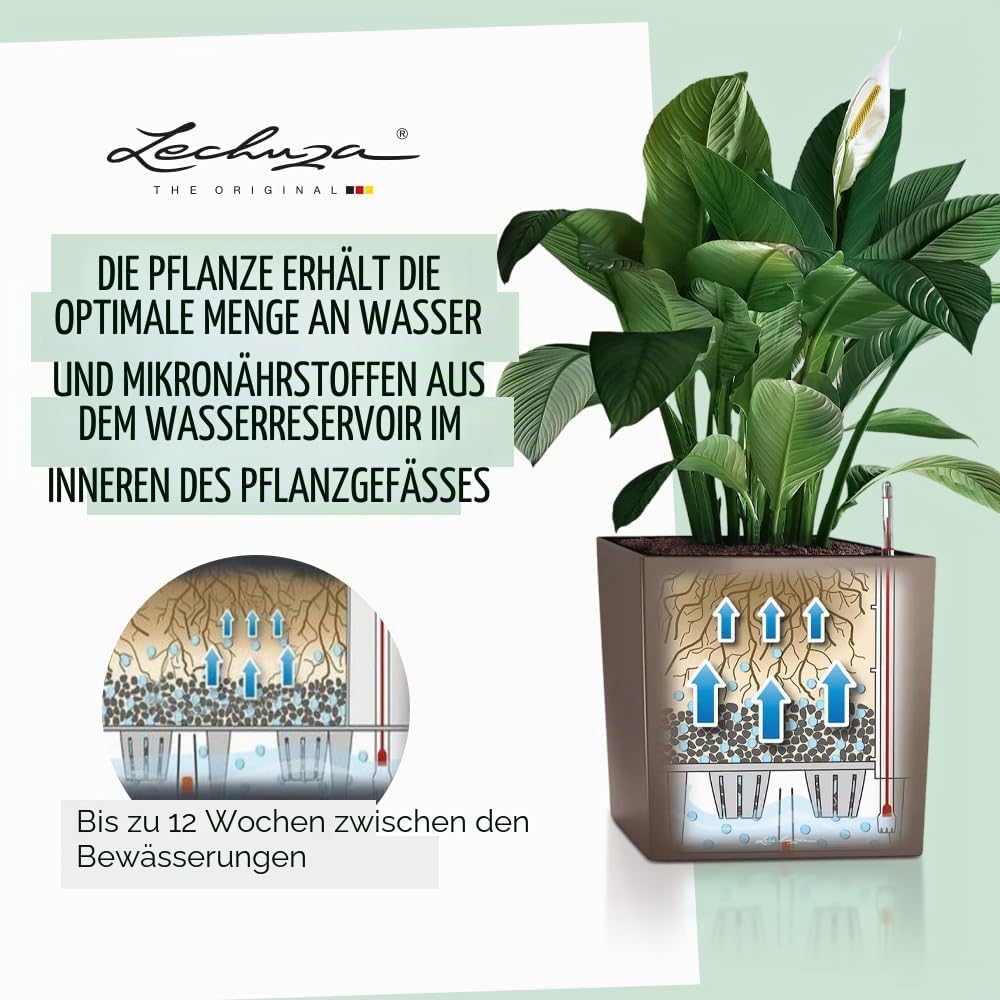 Thumbnail 2 de Lechuza Cube 30 Komplettset anthrazit metallic – kompakte Pflanzlösung mit integriertem Wasserreservoir