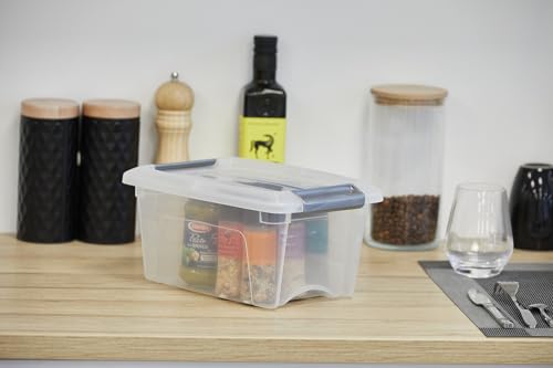Detalle de Iris Ohyama Petite Boite Rangement 5L ⚙
