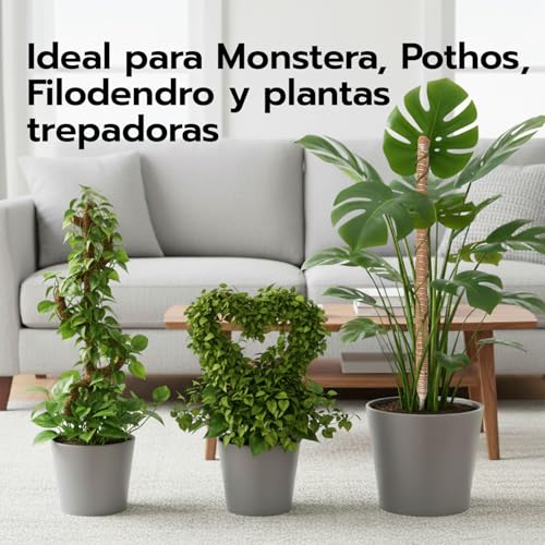 Thumbnail 6 de Wigearss: 2 tutores de fibra de coco de 60 cm para plantas trepadoras, con montaje y anclaje incluido