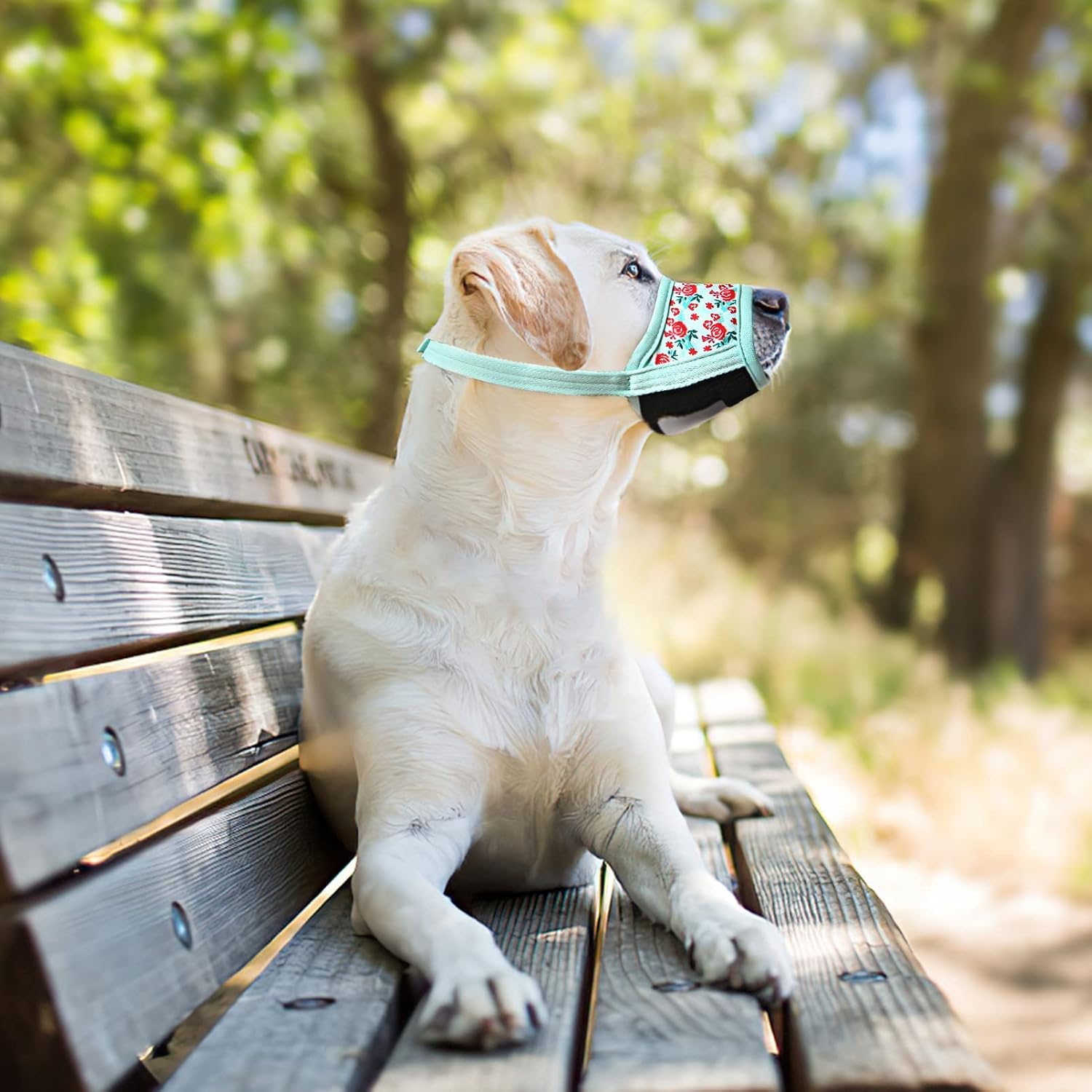 Thumbnail 6 de HEELE Hund Maulkorb aus weichem Nylon & Air-Mesh, einstellbar – XS in Cyan/Blume