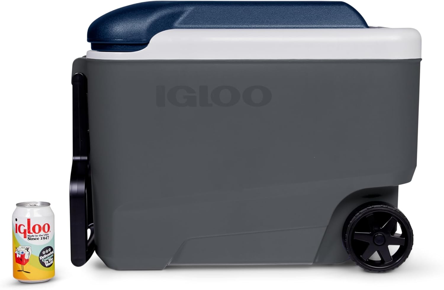 Thumbnail 2 de IGLOO Maxcold: frigorifero portatile da 38 L con ruote e manico telescopico