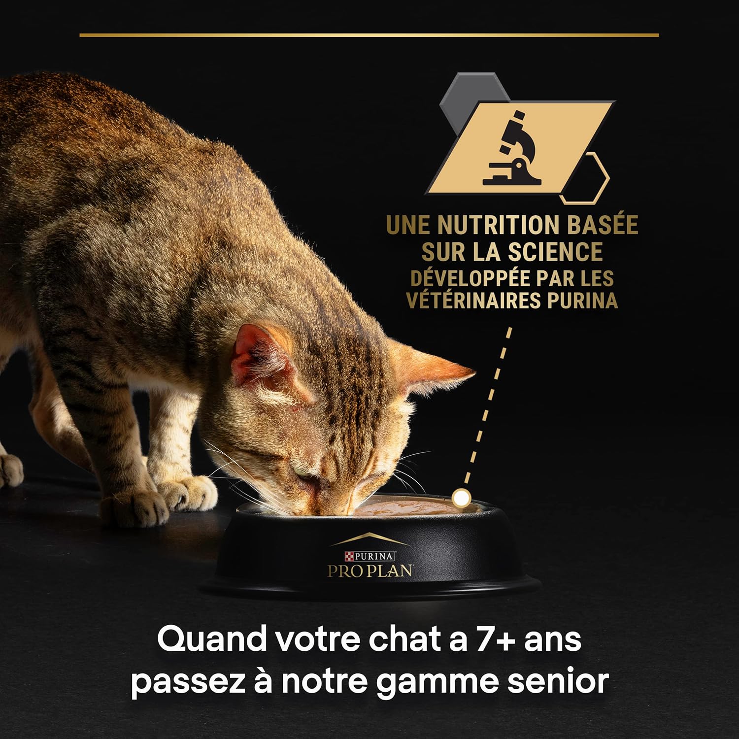 Detalle 2 de PRO PLAN Adulte Delicate Digestion Dinde en Sauce 10x85g – Croquettes en sauce pour chats adultes à digestion sensible