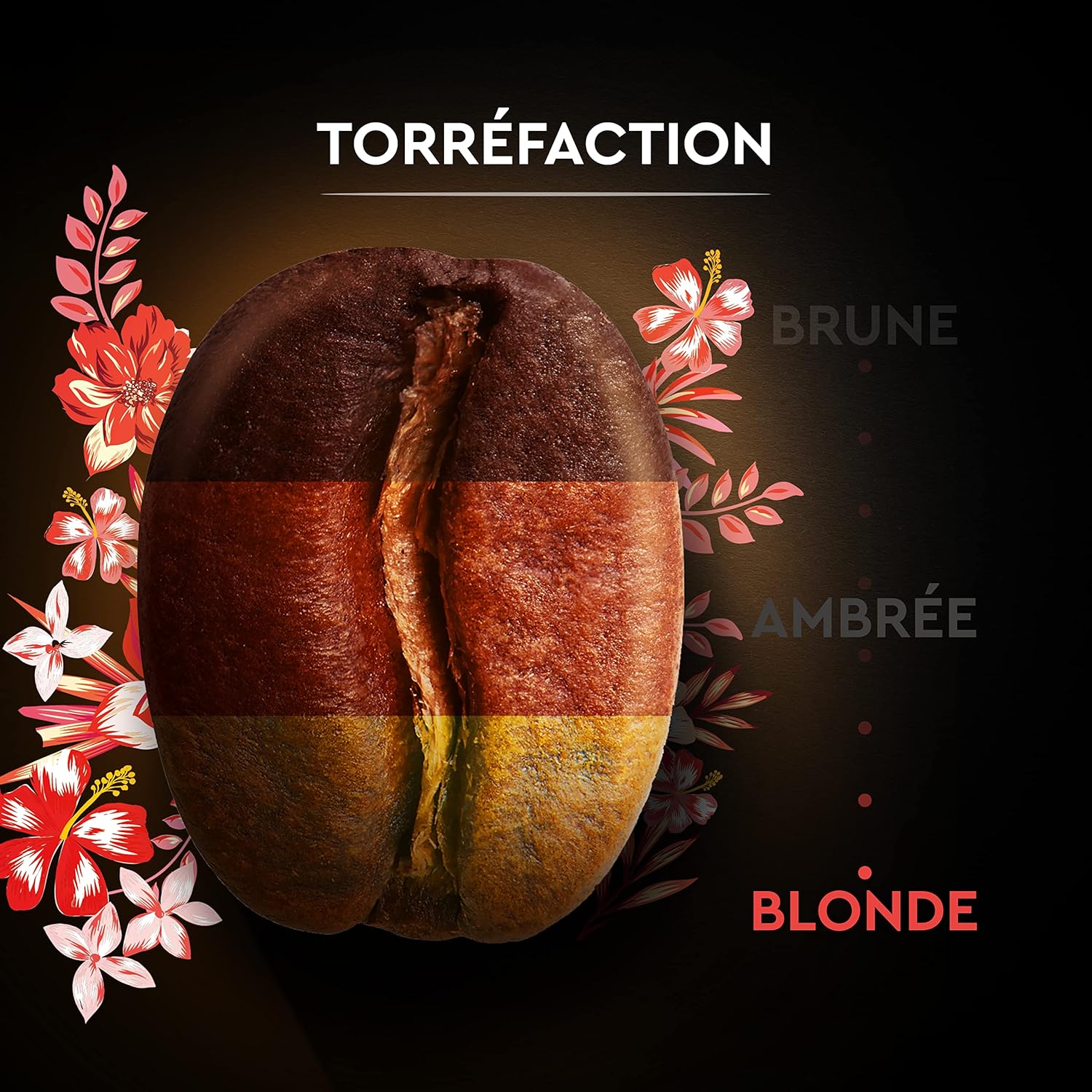 Thumbnail 5 de Carte Noire Grains Bio Honduras – Paquet de 1 kg