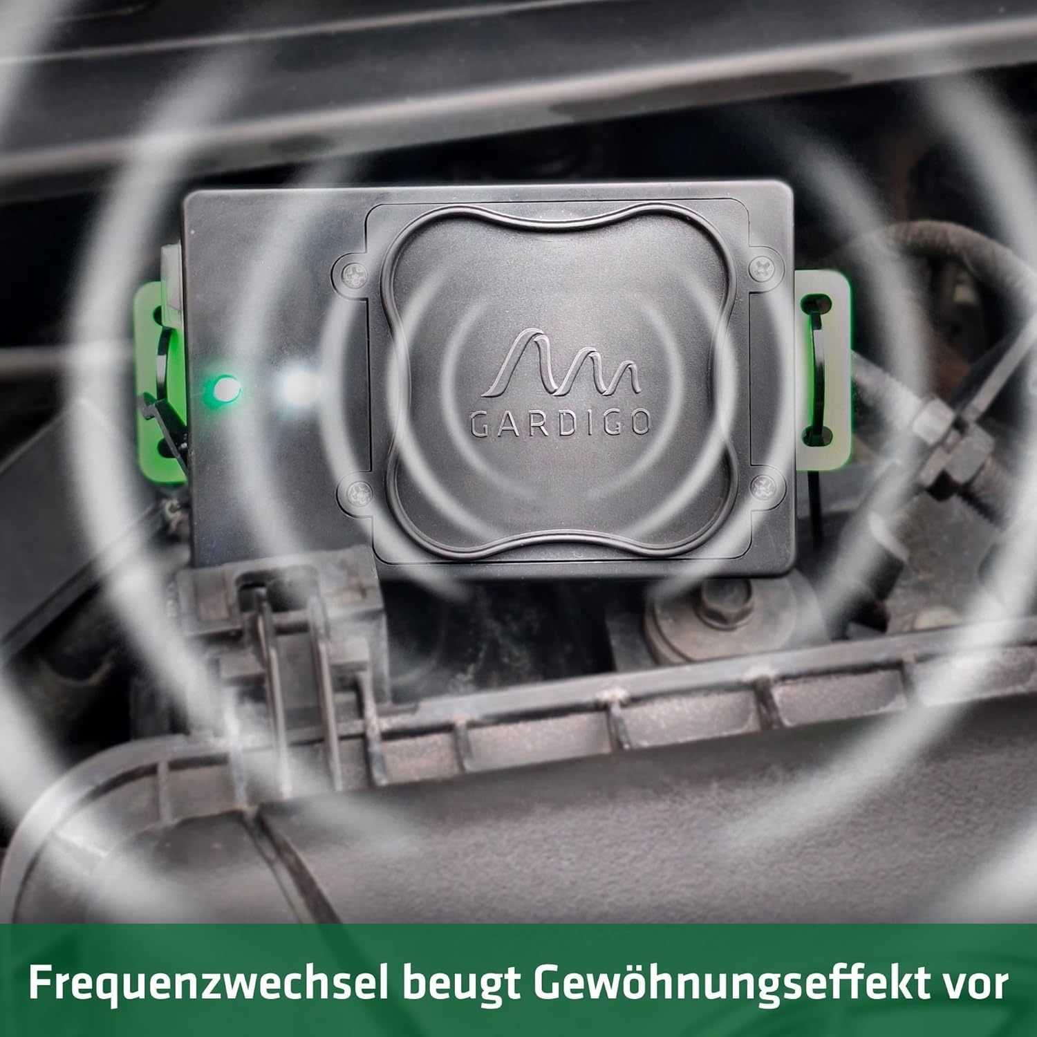 Thumbnail 4 de Gardigo Marderschreck Auto 12–24 kHz