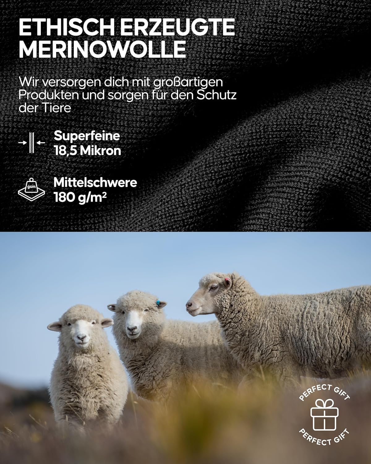 Thumbnail 4 de DANISH ENDURANCE Merino Thermounterhose 180 g/m² 🩲