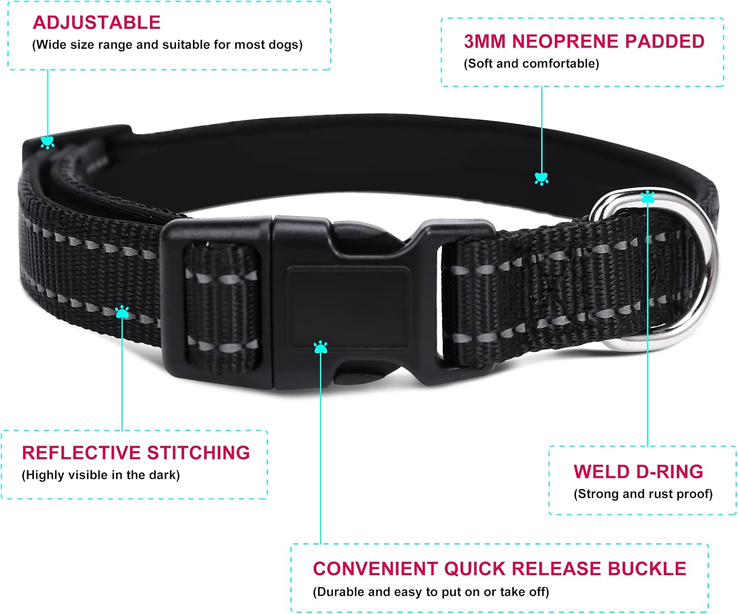 Detalle de Jumpress Dog Collar and Leash Set, Medium