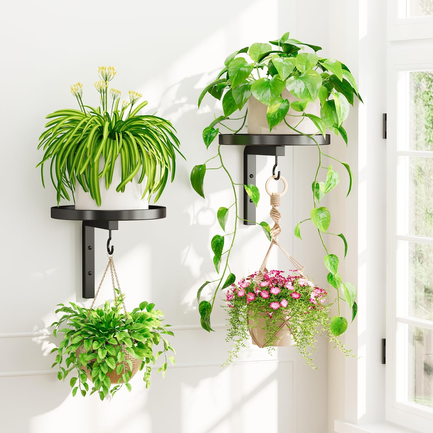 Detalle de iDavosic.ly Plant Wall Hanger Set of 2, Black Powder-Coated Metal with Hooks
