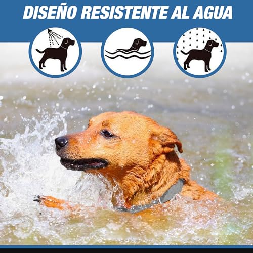 Detalle de Tempotech Collar Antiparasitario Natural para Perro – 100% Natural, hasta 8 Meses, 70 cm