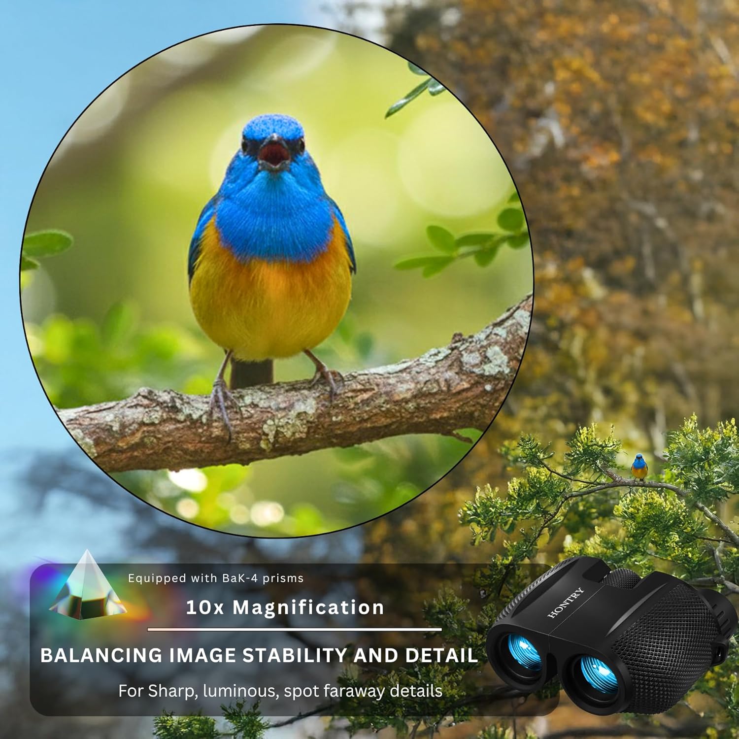 Thumbnail 2 de Hontry 10x25 Compact Binoculars for Adults and Kids (10x magnification, Bak-4 prisms)