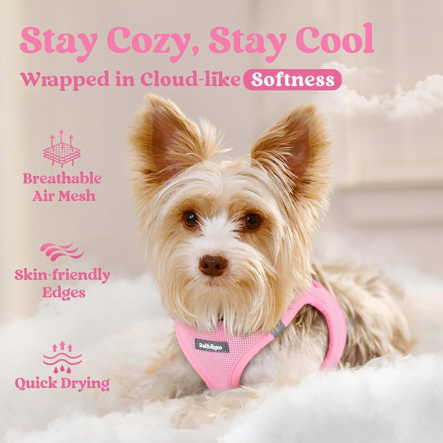 Thumbnail 2 de rabbitgoo Small Dog Step-In Soft Mesh Harness (XS) – Reflective, Lightweight and Easy-Fit
