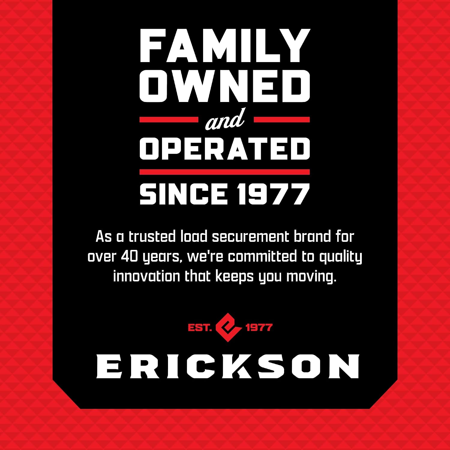 Detalle 2 de Erickson 09160 Wheel Chock Tie-Down Kit for ATV and off-road vehicles