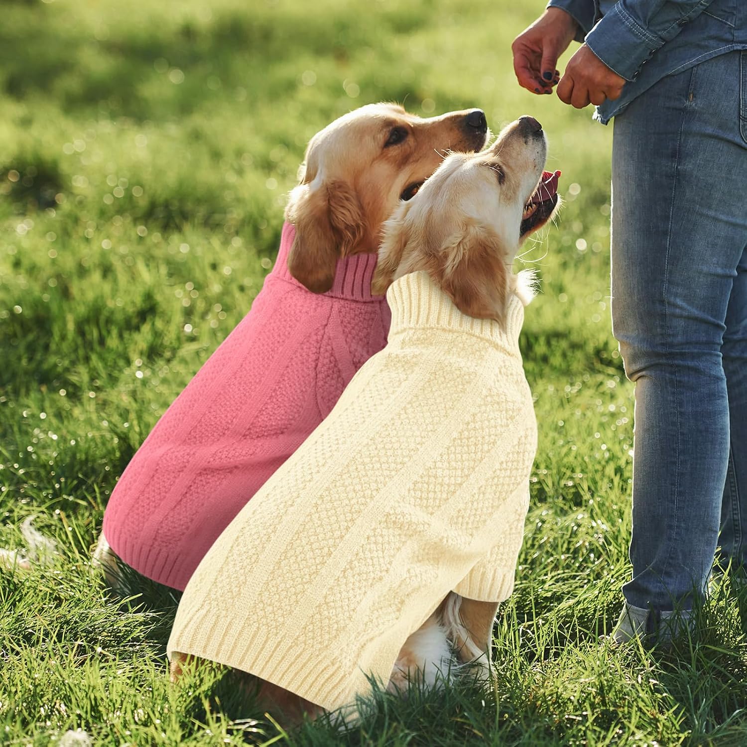 Detalle 2 de Queenmore Dachshund Jumper knitwear M