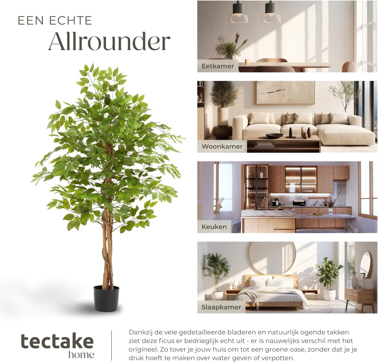 Thumbnail 6 de tectake Ficus Fida 405610 kunstficus van 160 cm met volle bladkroon
