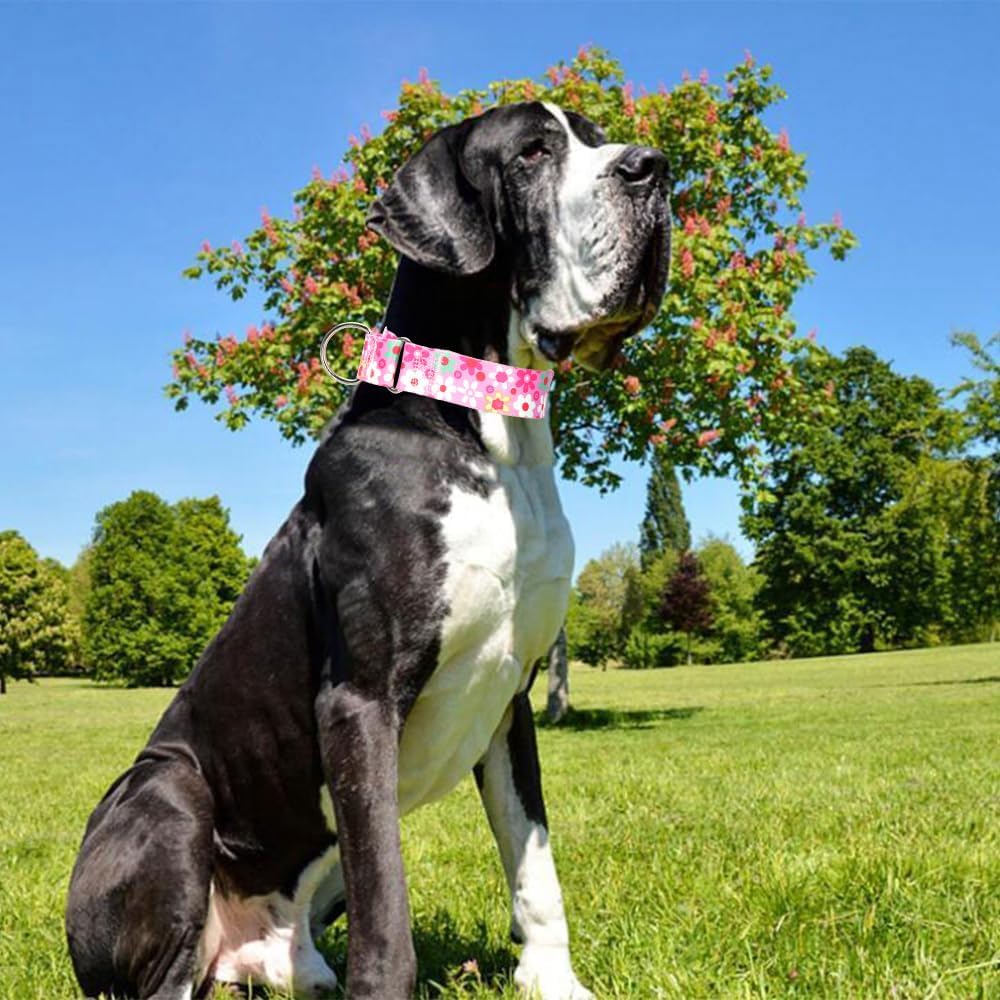 Thumbnail 1 de MAOWUWUJOZ Pink XL Martingale Dog Collar, 1.5-Inch Adjustable Nylon