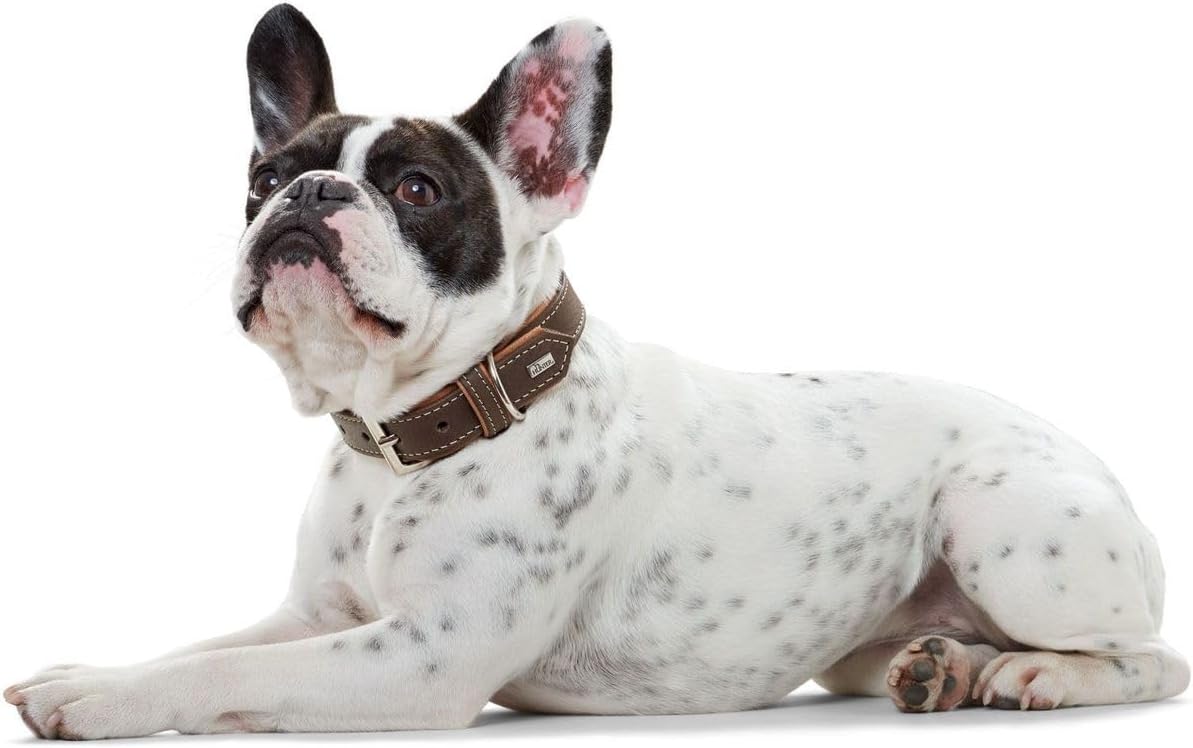 Detalle 2 de HUNTER Hundehalsband PORTO – pflanzengegerbtes Olivenleder, Handarbeit, Größe 30