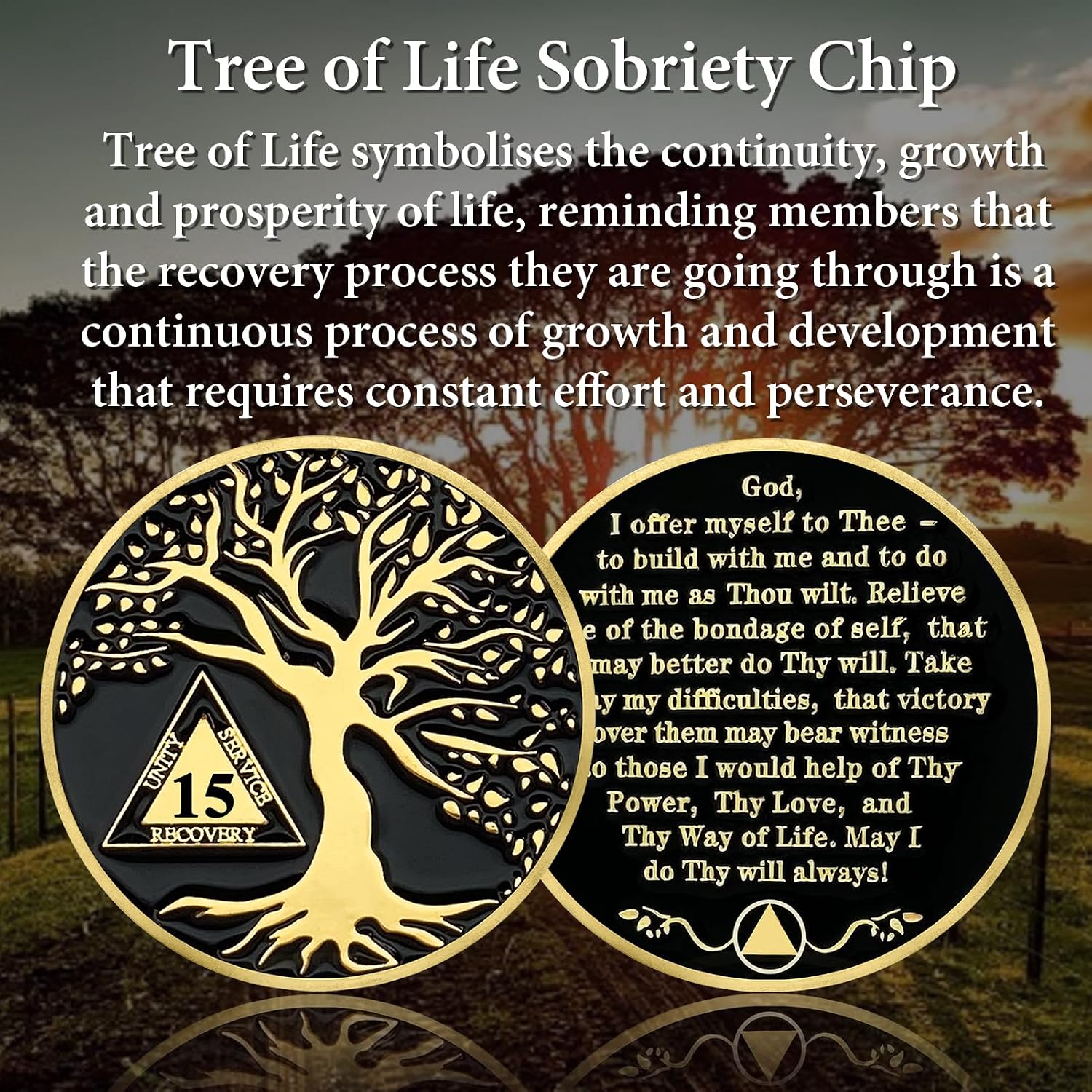 Thumbnail 4 de 15-Year Sobriety Coin