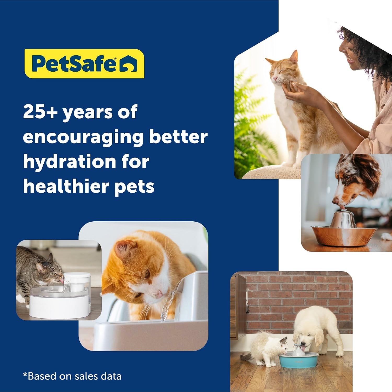 Thumbnail 6 de PetSafe Pet Fountain 2 Gallon