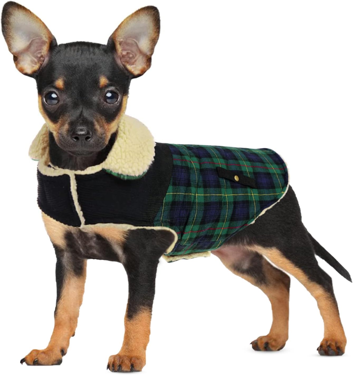Detalle de CITÉTOILE Dog Coat – Warm Fleece-Lined Dog Jacket (Green, XS) for Small & Medium Dogs