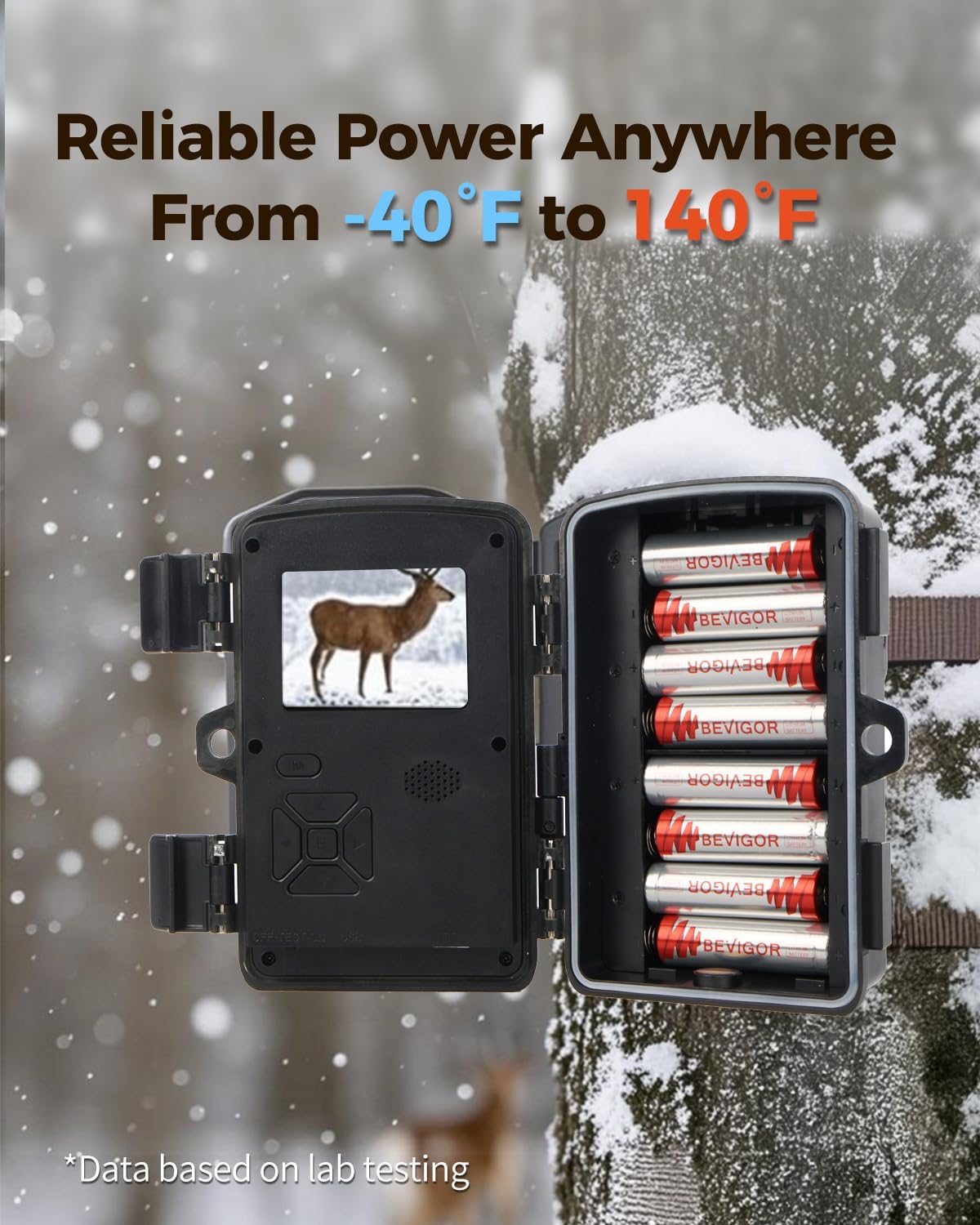 Detalle 2 de BEVIGOR AA Lithium Batteries