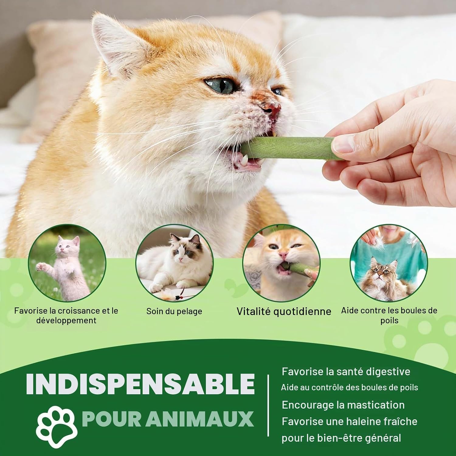 Detalle de YijiaXingzhou gevriesdroogde kattensnacksticks van 60 g met kip en eigeel