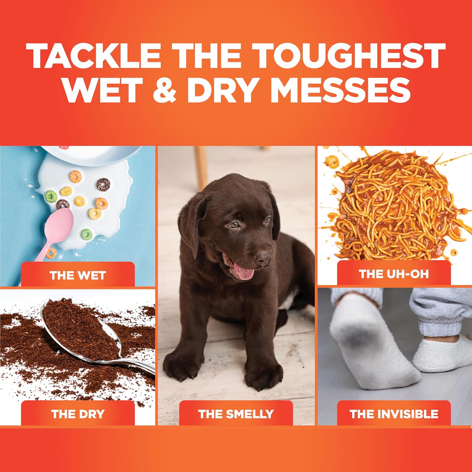 Thumbnail 2 de Shark Wet-Dry Vacuum and Mop AW261