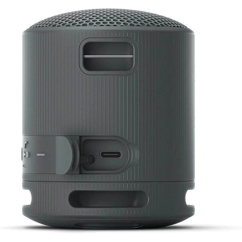 Detalle de Sony SRS-XB100 Altavoz Bluetooth portátil negro 🔊