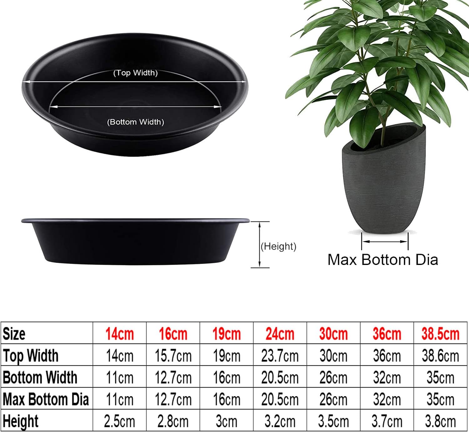Detalle 2 de TStarJungle 5 Pack Plant Saucers