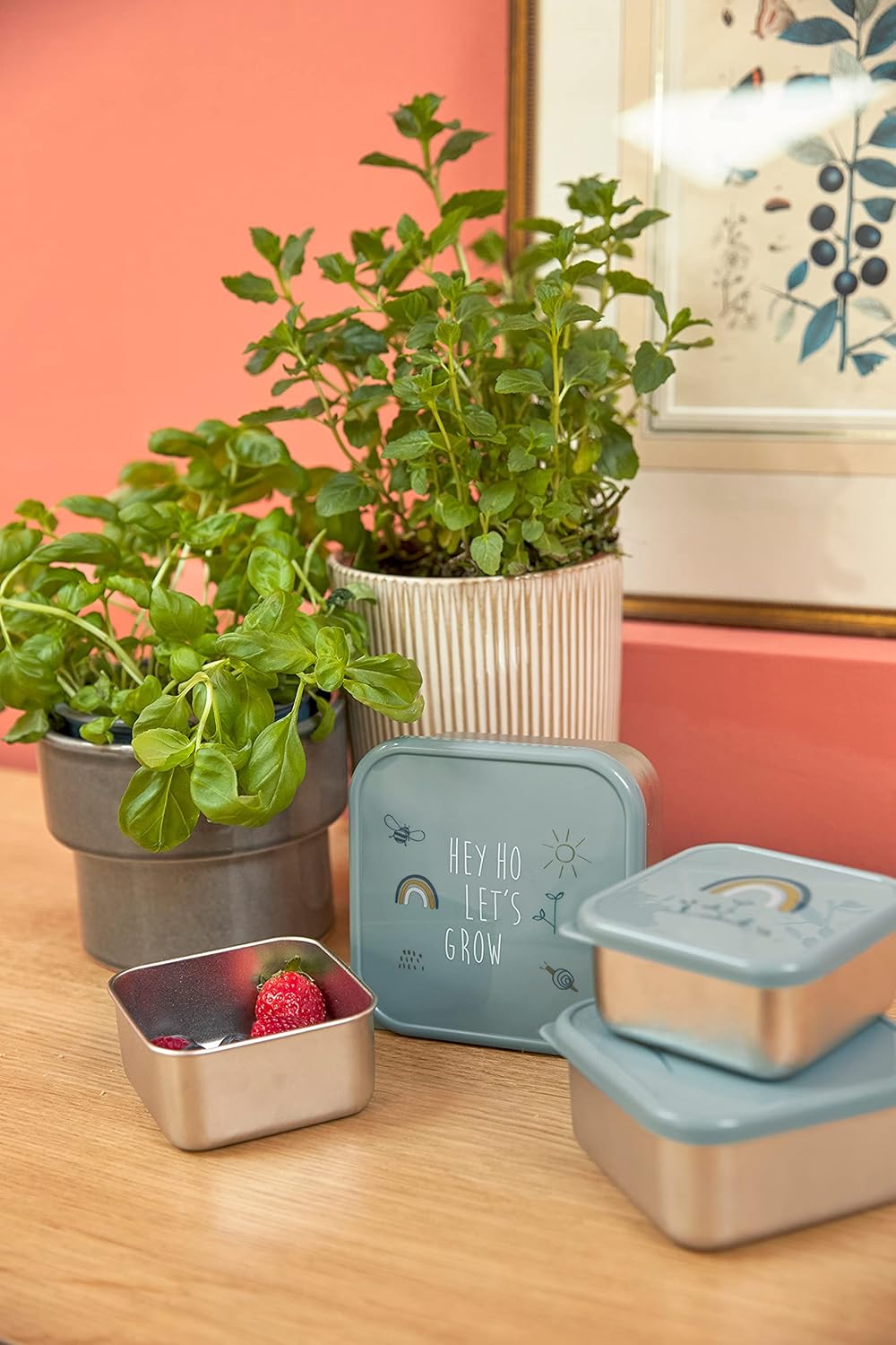 Detalle de LÄSSIG Snackbox 3er Set Edelstahl Garden Explorer – drei Größen, spülmaschinenfest