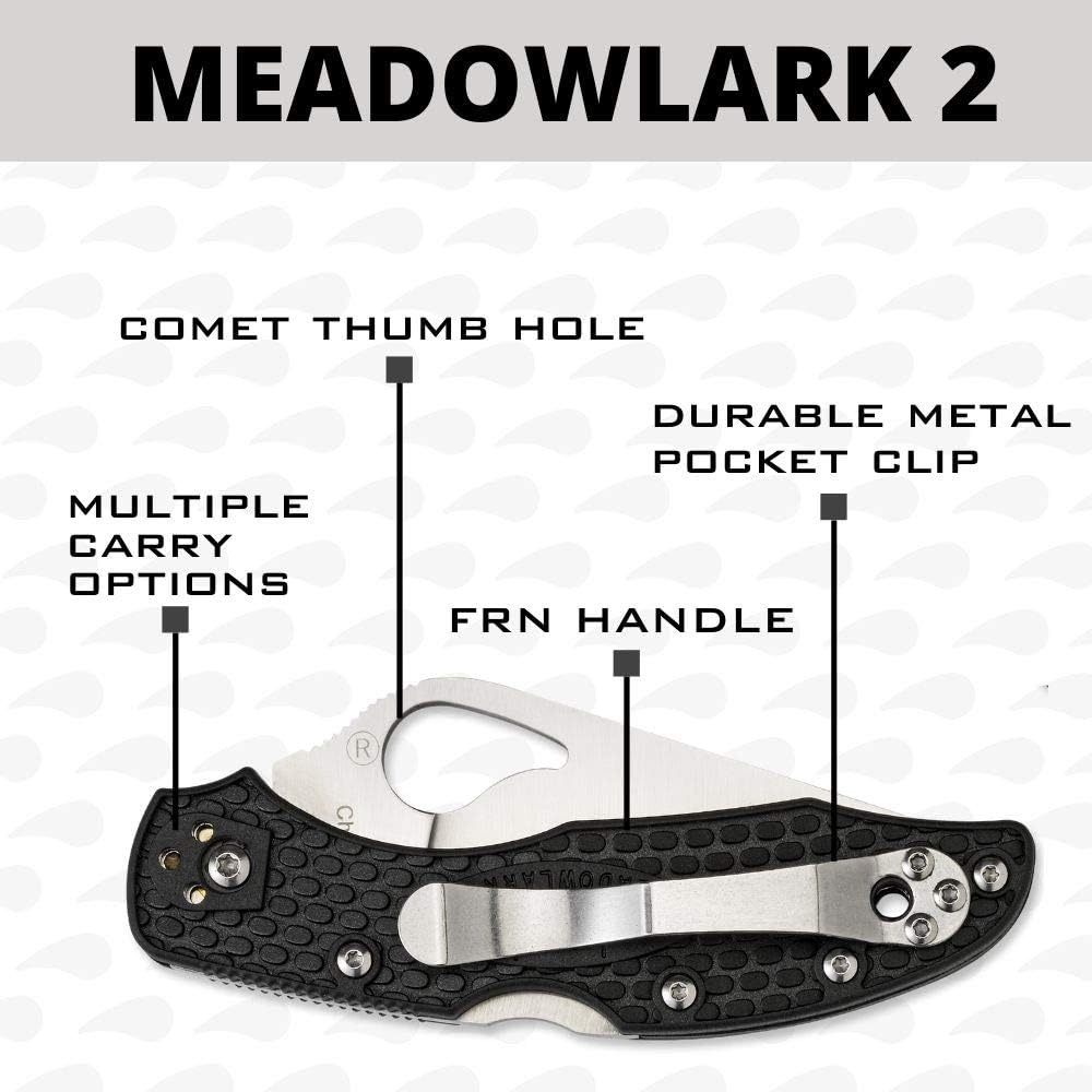 Detalle 2 de Spyderco Byrd Meadowlark 2 BY04PBK2 vouwmes met glad lemmet