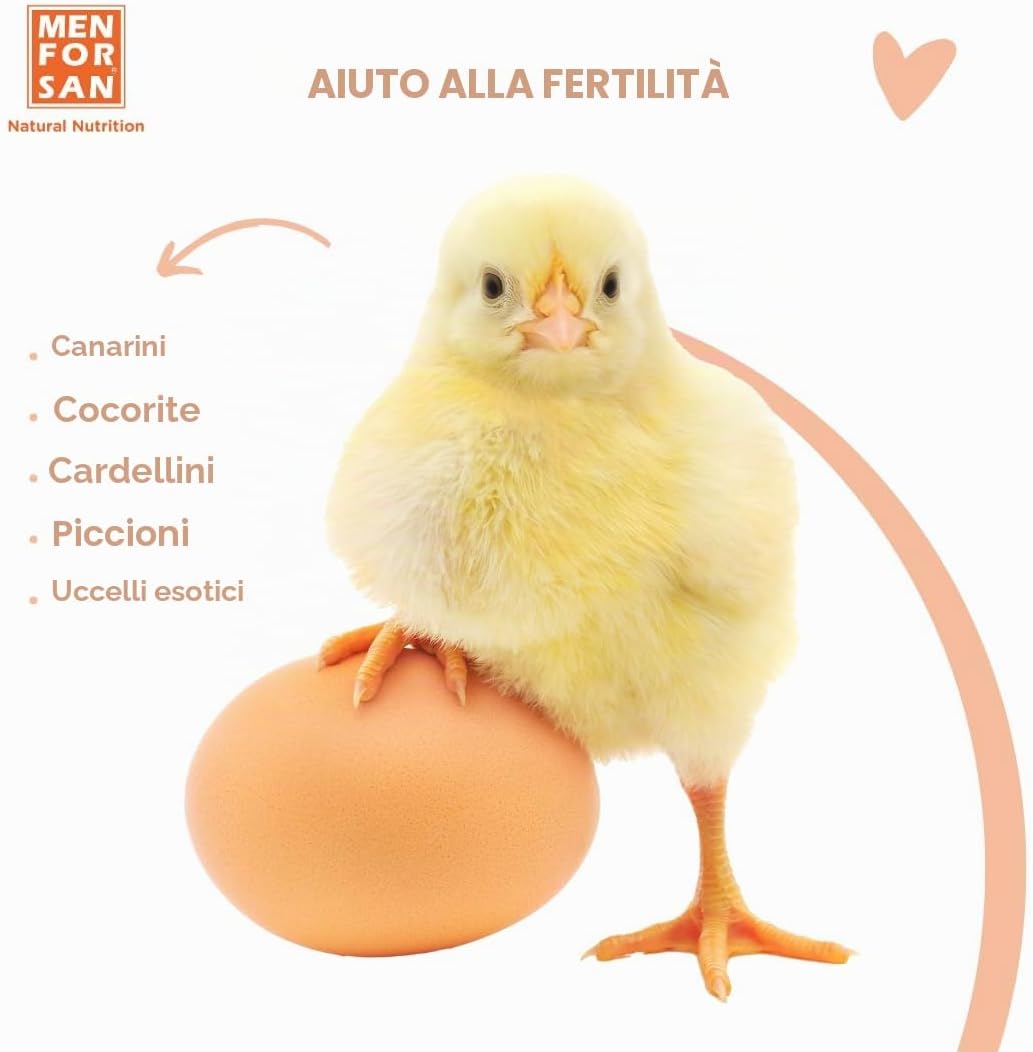 Detalle de MENFORSAN Mangime complementare per uccelli da riproduzione – 30 ml