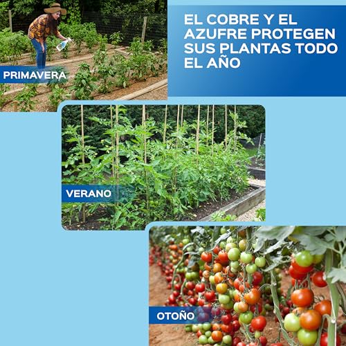 Thumbnail 1 de LERAVA Azufre de Cobre Fungicida (700 ml) – Protección natural para plantas contra mildiu y hongos