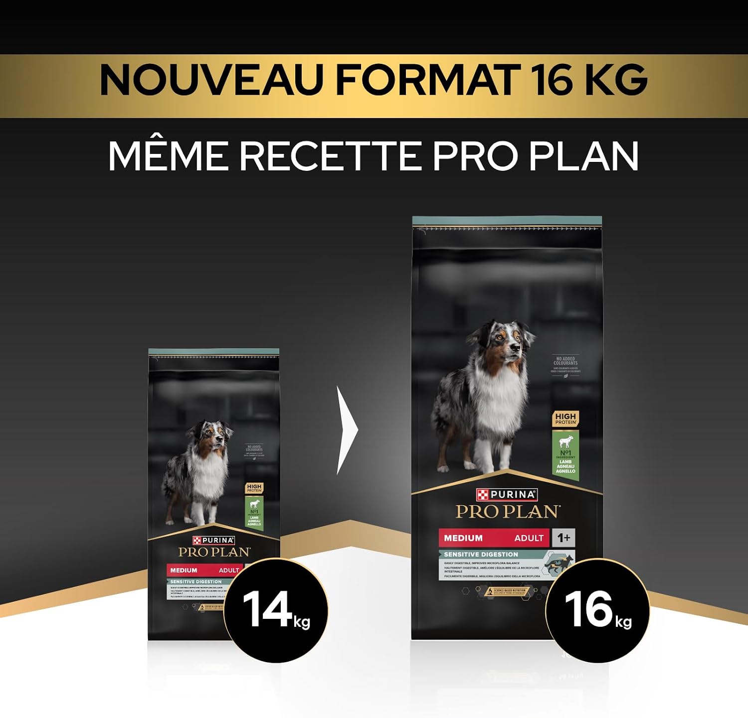 Thumbnail 1 de Purina Pro Plan Sensitive Digestion — Croquettes pour chien adulte taille moyenne, agneau, 3 kg