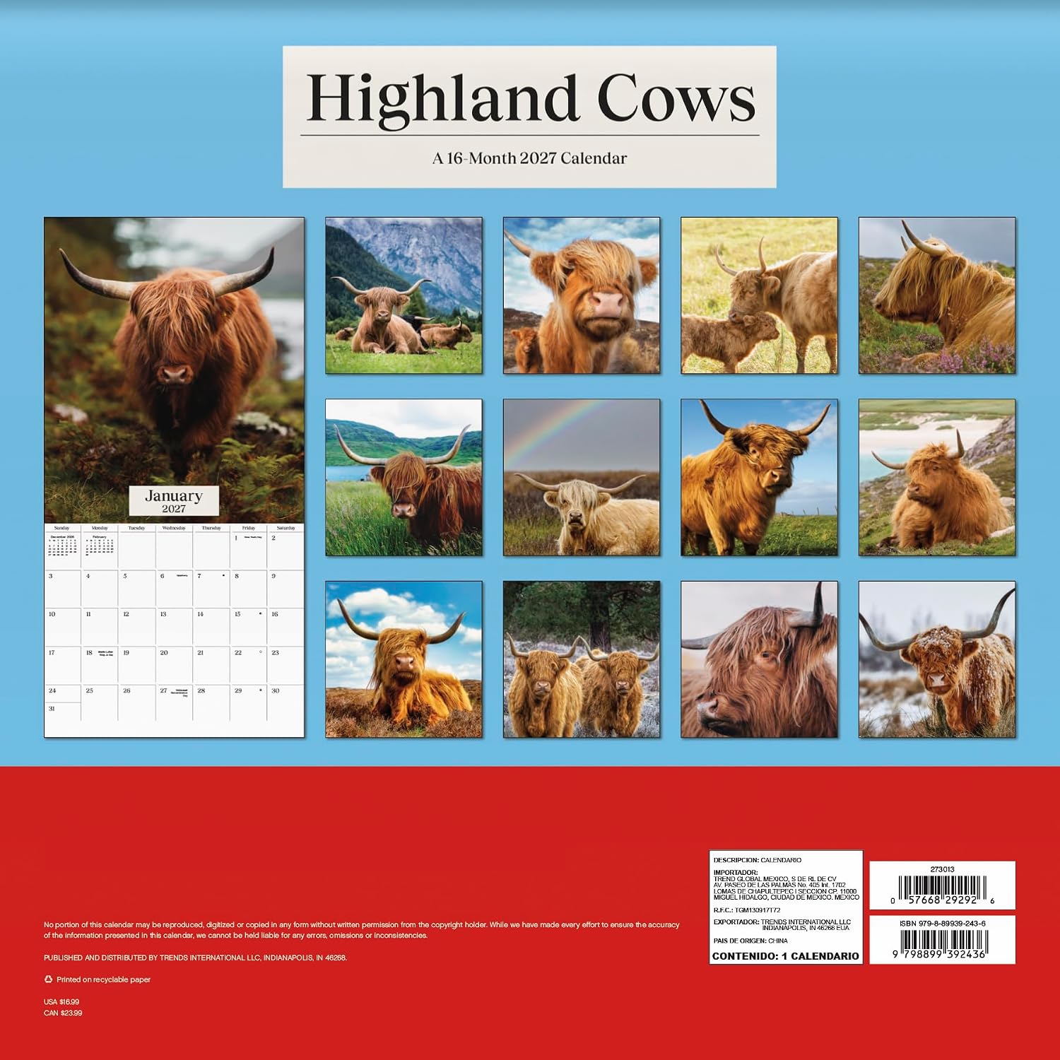 Detalle de 2027 Highland Cows Wall Calendar, 12" x 12" with 13 Images