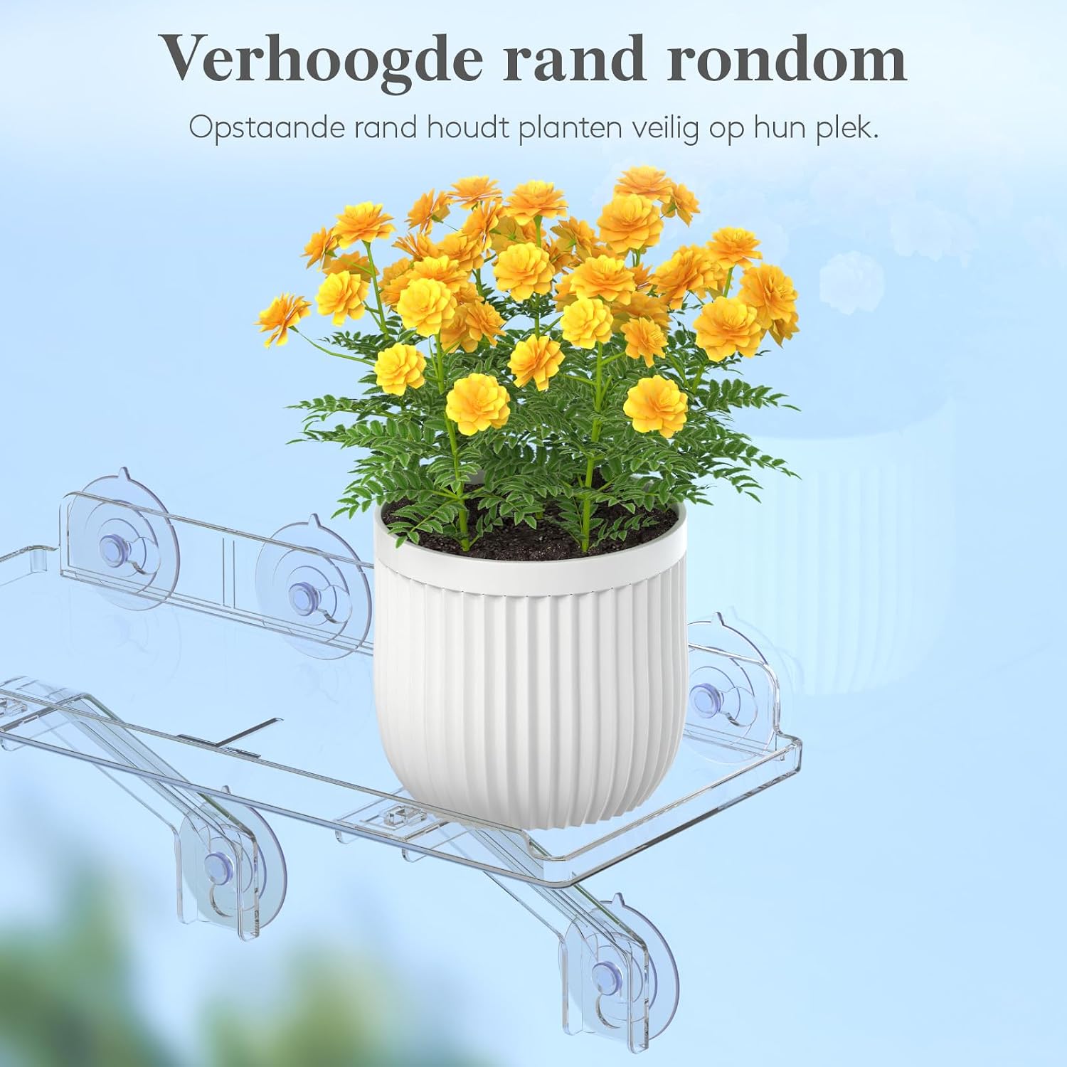 Thumbnail 6 de Lifewit 25075 plantenplanken voor het raam, 2 stuks met zuignappen