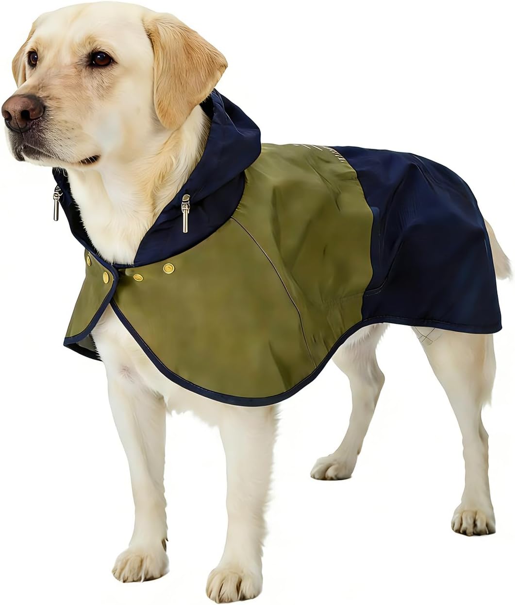 Detalle de Dog Raincoat: Waterproof Coat with Adjustable Hood & Elastic Leg Straps (Size M)