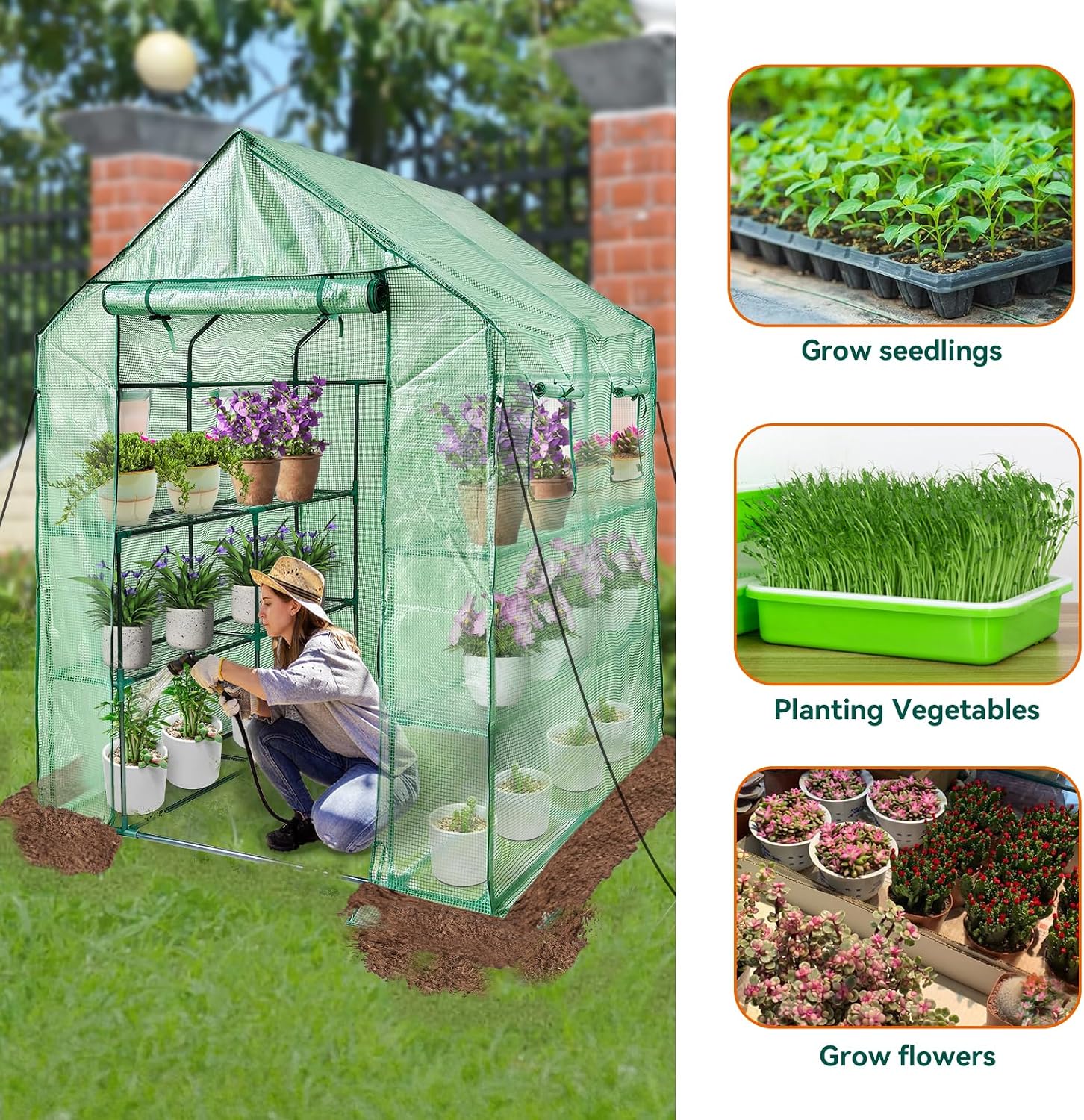 Thumbnail 4 de Grandhom Walk In Greenhouse 143x143x195cm