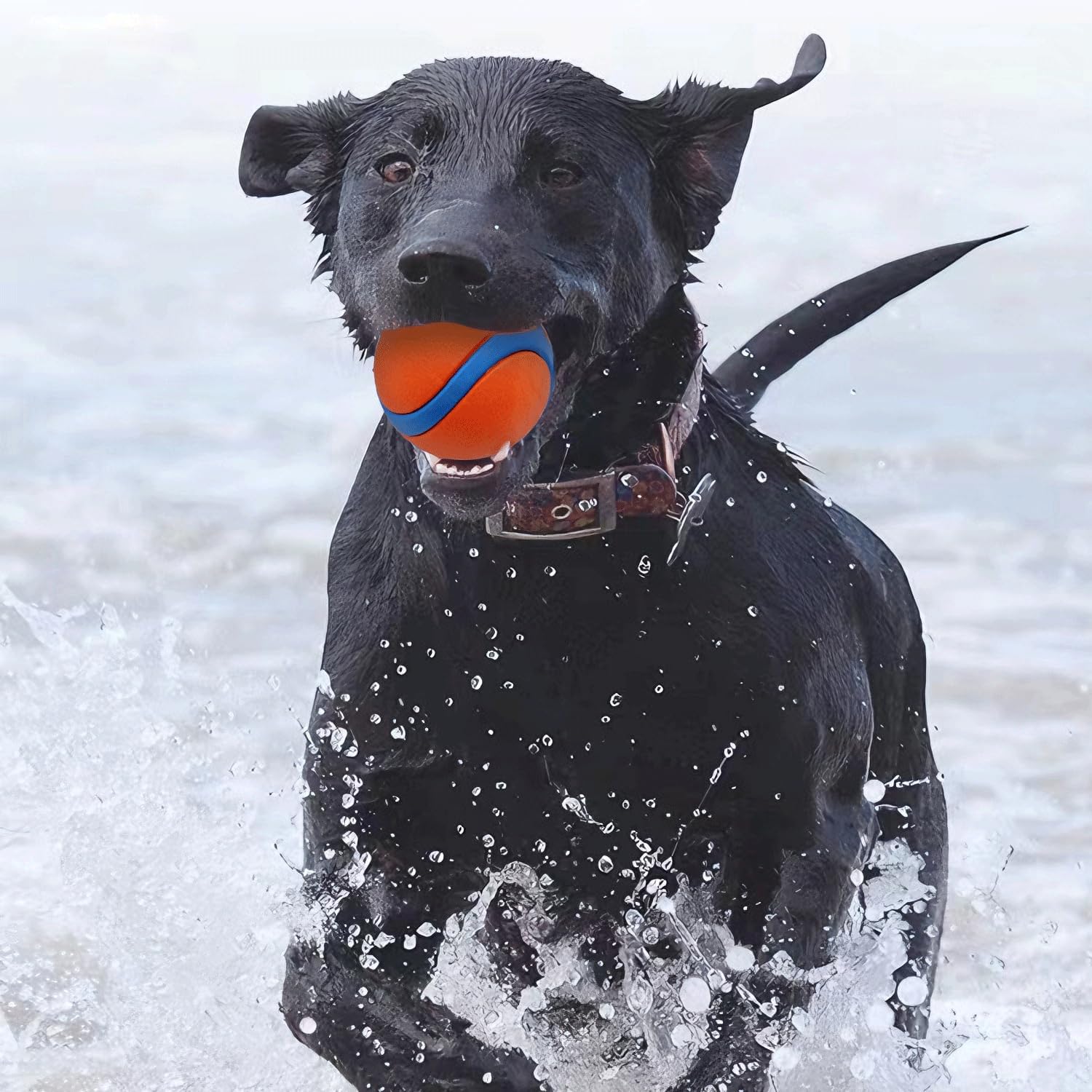 Thumbnail 6 de Speedy Panther Speedy Panther 6 Pack Indestructible Dog Balls (Squeaky Rubber Chew Toys)