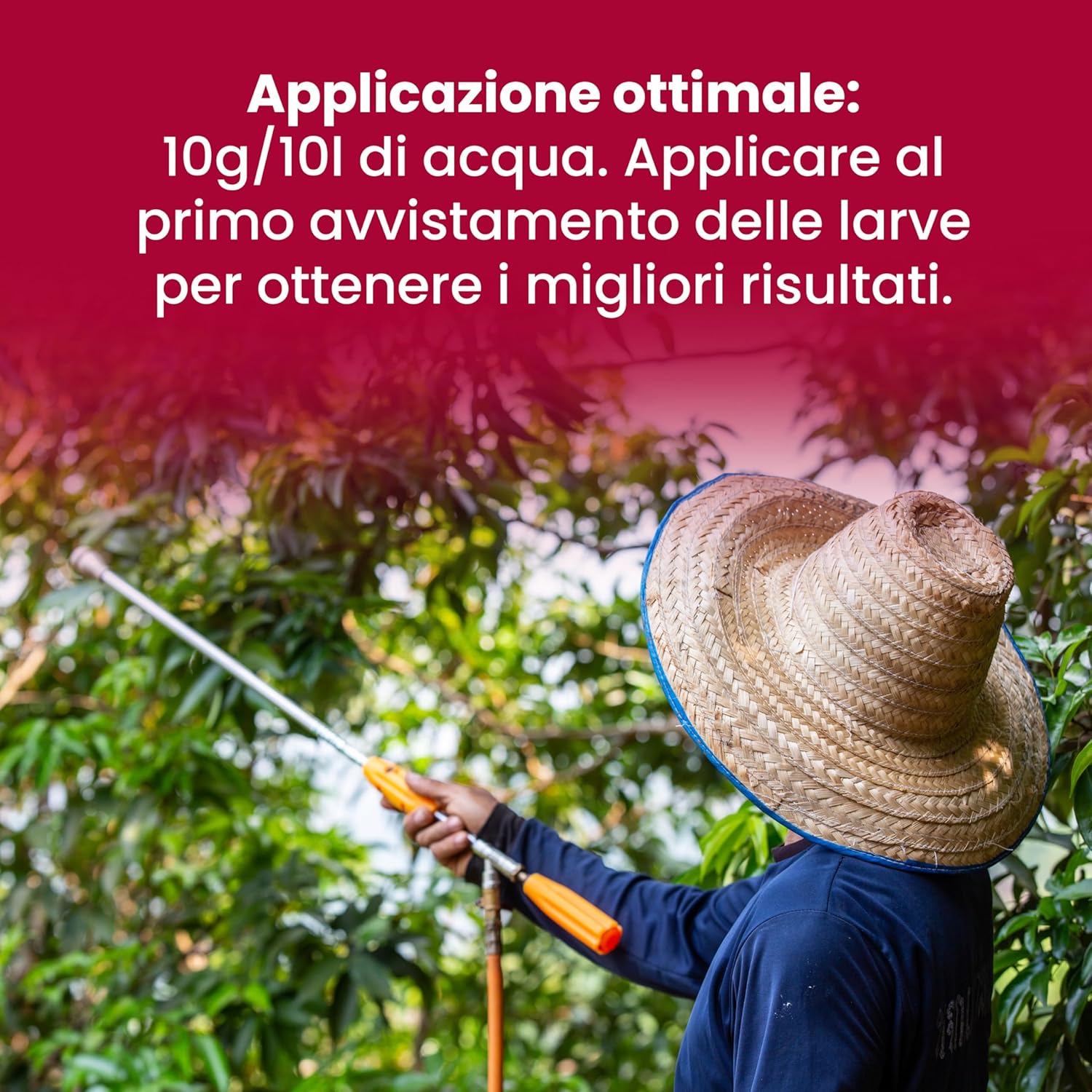 Thumbnail 3 de LERAVA Bacillus Thuringiensis Kurstaki (100 g): insetticida biologico per piante, protezione da bruchi e cavolaia