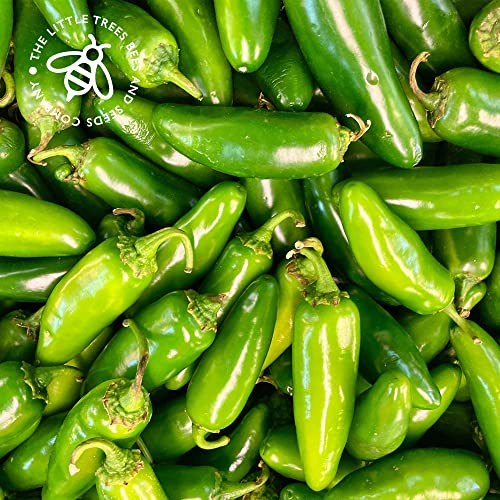 Detalle de Gardening Gifts Heirloom Chilli Pepper Seed Kit – 8 Varieties from The Little Trees Bees & Seeds Company