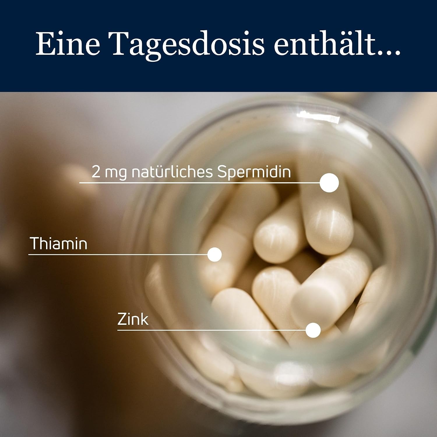 Detalle 2 de spermidineLIFE Original 365+ – Natürlich hochdosiertes Spermidin aus CelVio Weizenkeimextrakt (120 Kapseln)