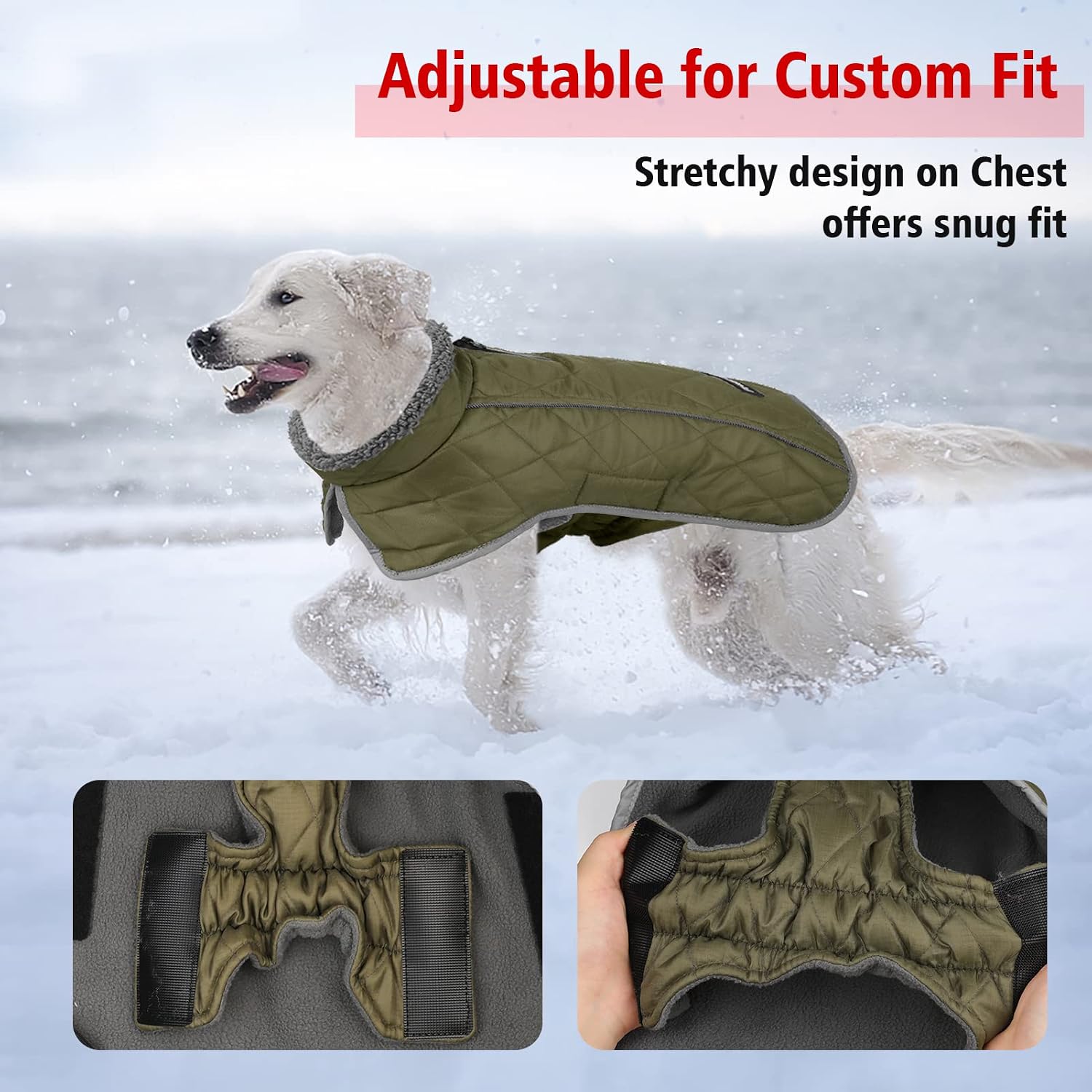 Detalle 1 de Fragralley Dog Coat M