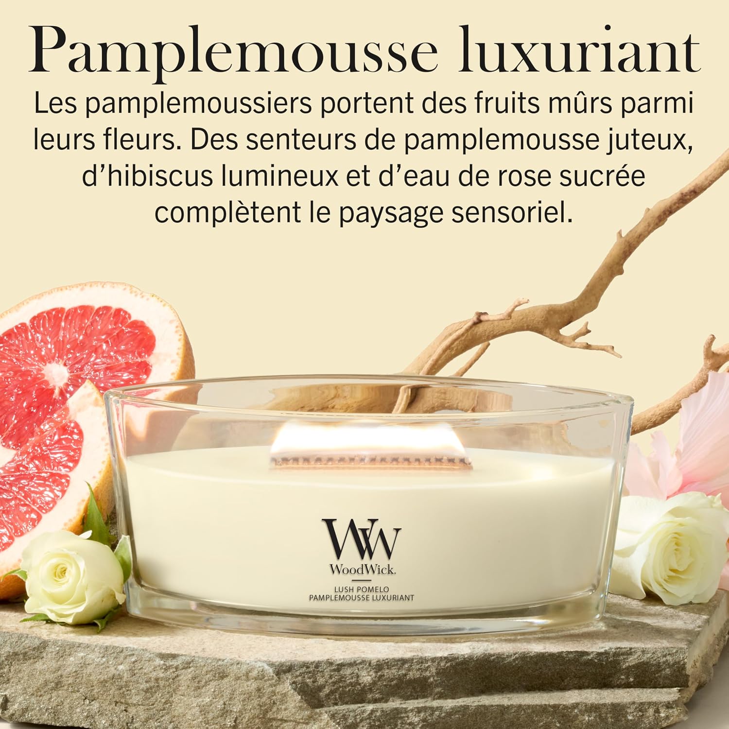 Detalle de WoodWick Bougie parfumée Bougie Ellipse Pamplemousse luxuriant – un cadeau élégant pour femmes