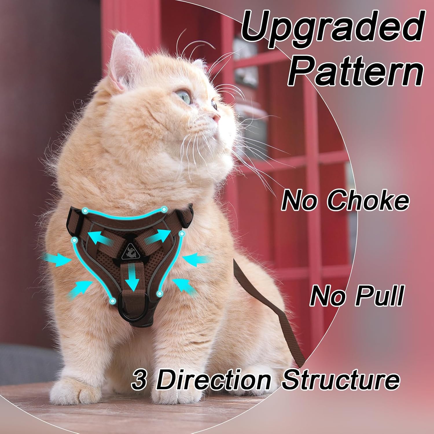 Thumbnail 1 de Cat Harness and Leash Set, Size S