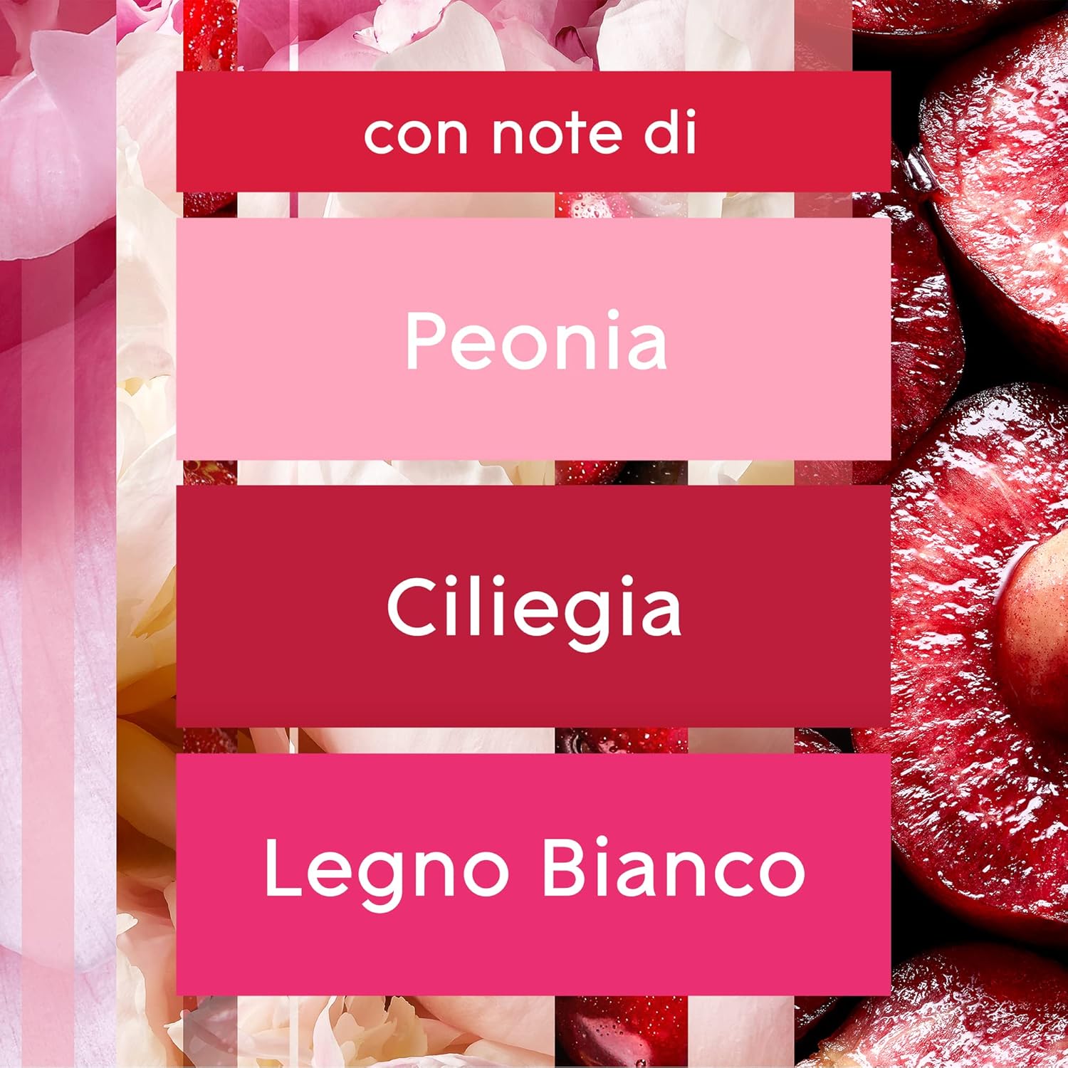 Detalle de Glade Confezione Regalo: Set di 4 Candele Profumate da 112 g in 4 Fragranze Esclusive