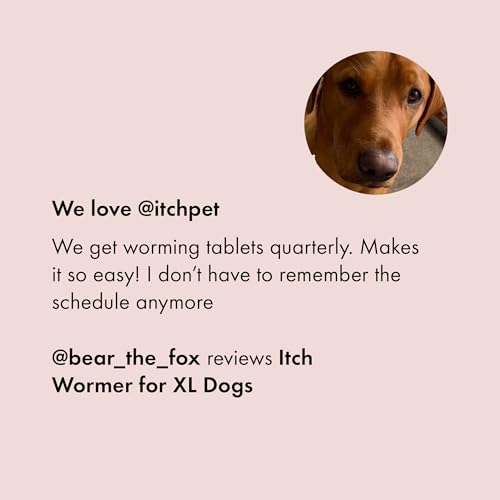 Detalle de Itch X Large Dog Wormer Tablets for Dogs 20kg+ - 2 Tablets